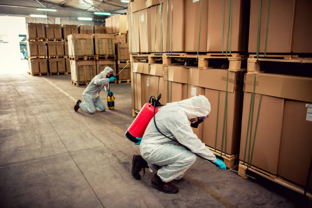 Best Wasp Removal Services  in Linwood, PA