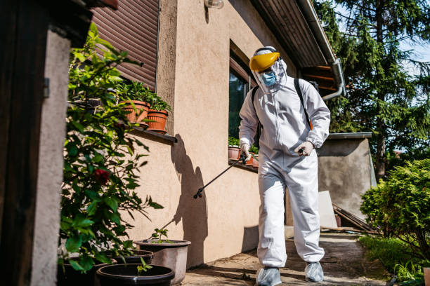 Best Affordable Pest Control Services  in Linwood, PA