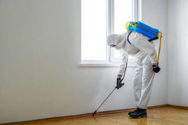 Wildlife Control Services in Linwood, PA