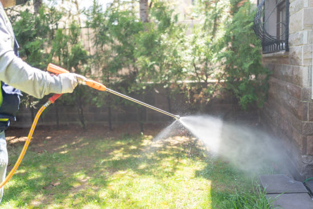 Wasp Removal Services in Linwood, PA