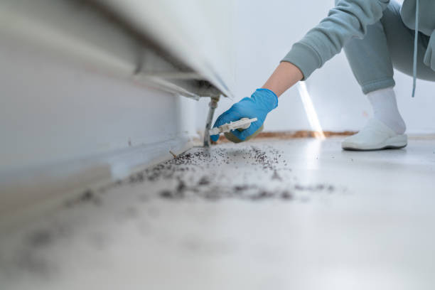Best Pest Prevention Services  in Linwood, PA